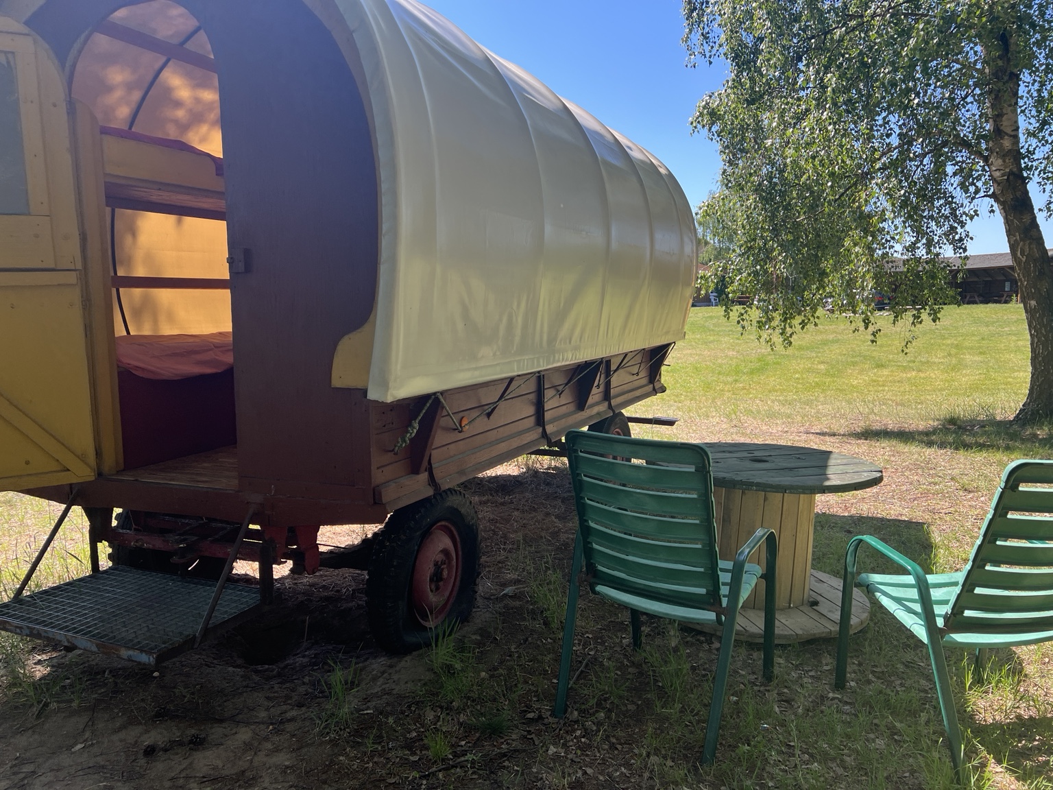 Planwagen auf der Wiese
